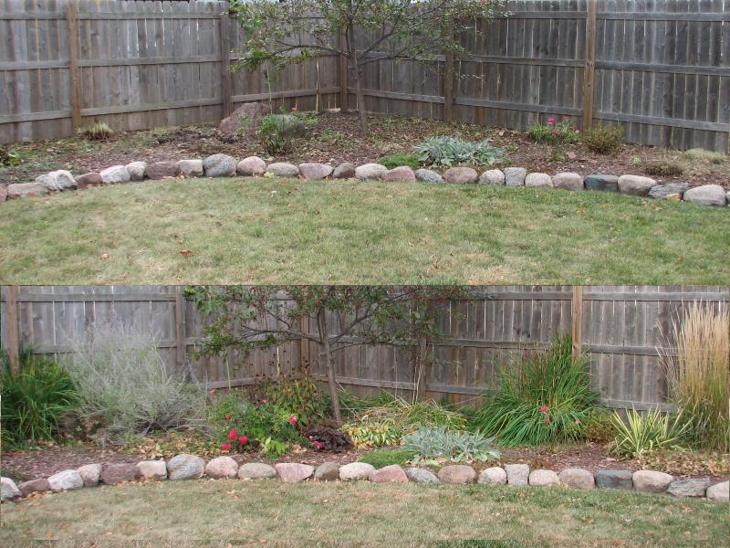 Pictures of the big garden after and before cutting everything back.