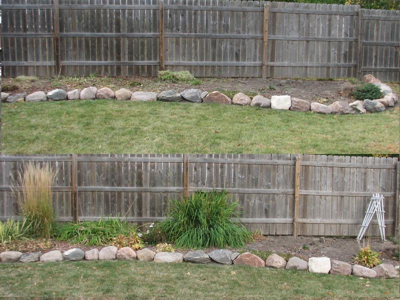 Pictures of the big garden after and before cutting everything back.