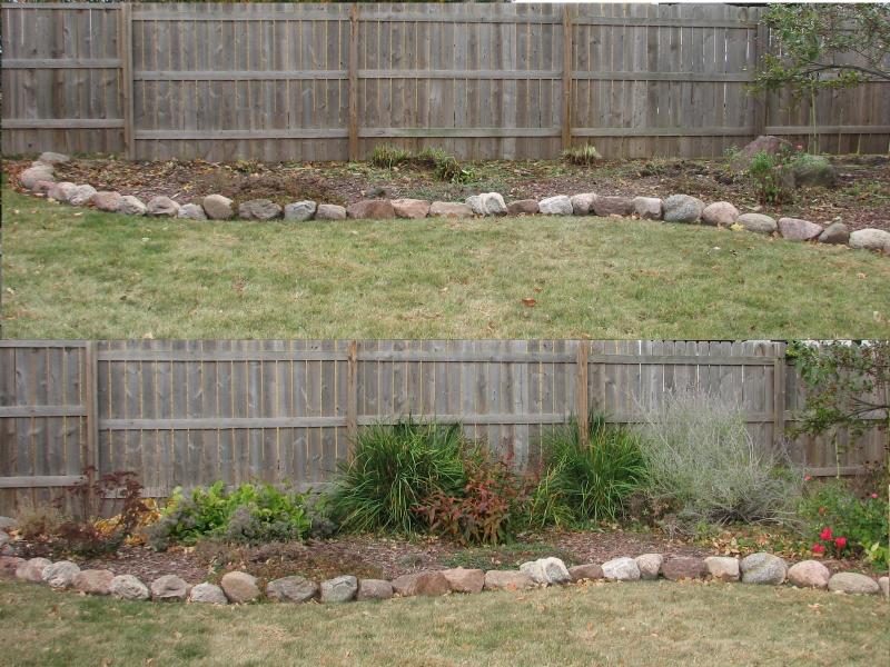 Pictures of the big garden after and before cutting everything back.