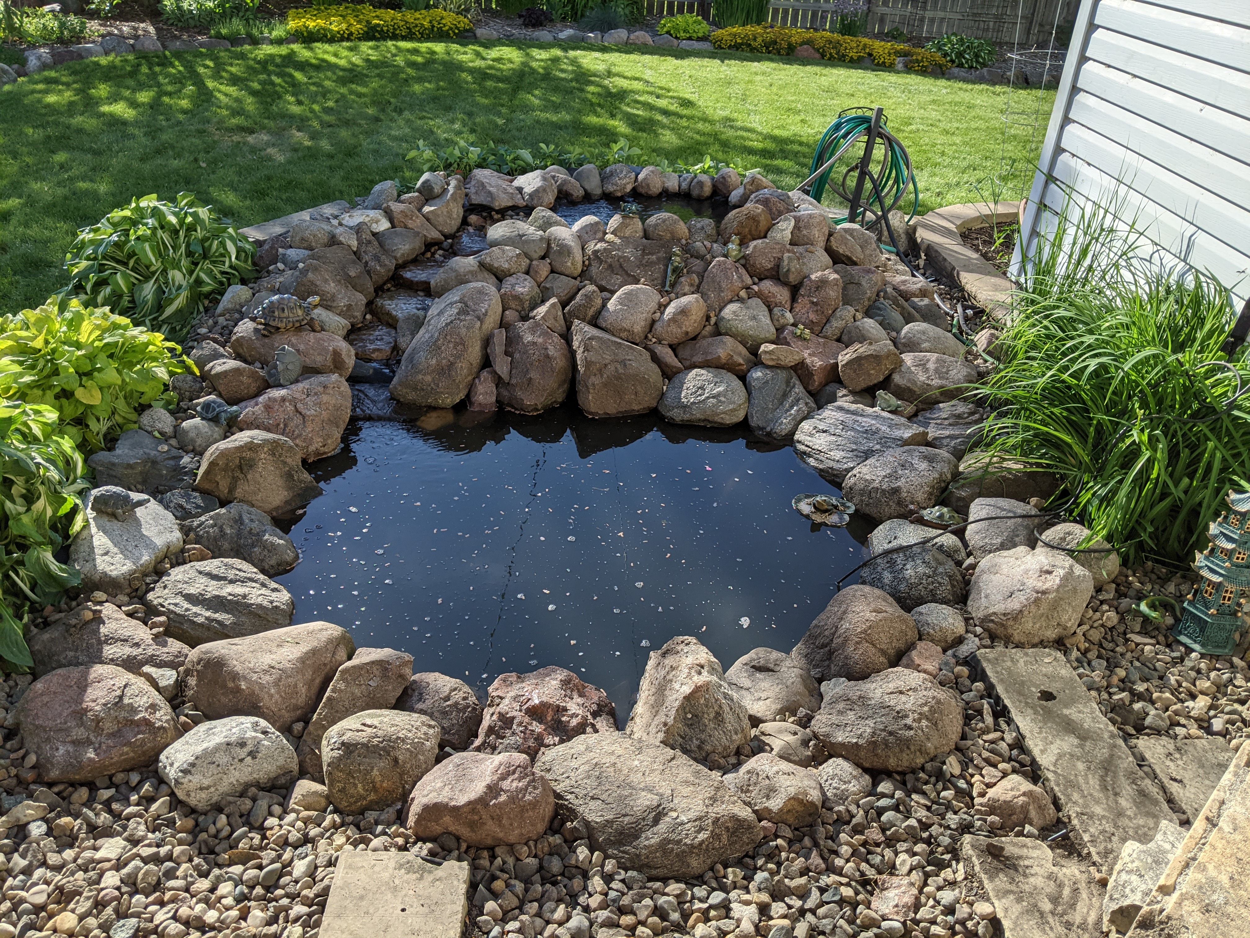 Front view of the pond